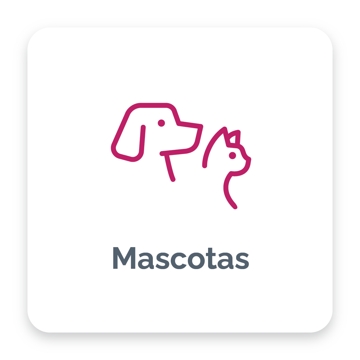 Categor&iacute;a Mascotas